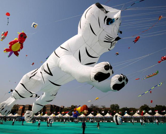International-Kite-Festival